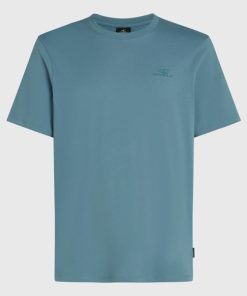 CAMISETA MANGA CORTA HOMBRE ONEILL SMALL LOGO T-SHIRT